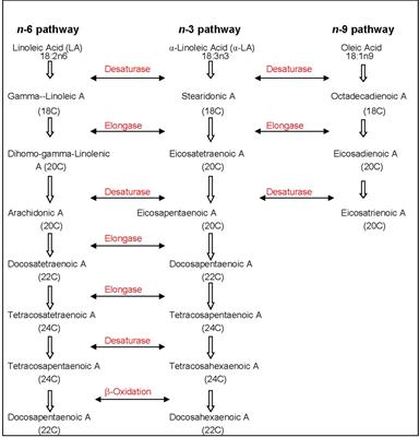 Composition and Functionality of Lipid Emulsions in Parenteral Nutrition: Examining Evidence in Clinical Applications